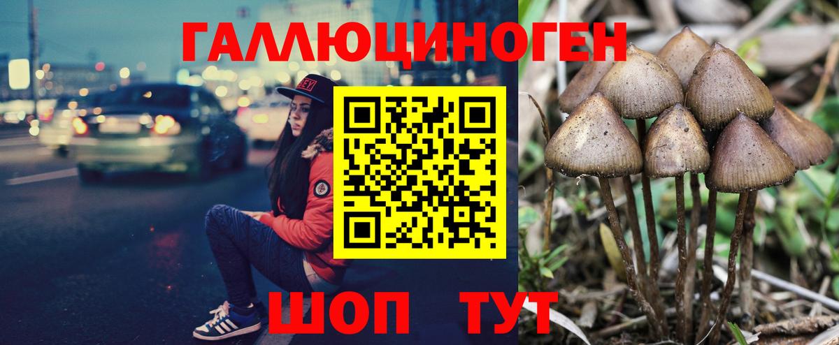 Псилоцибиновые грибы прущие грибы  Псилоцибиновые грибы ЛСД  где продают   Киселёвск  Вход с VPN 